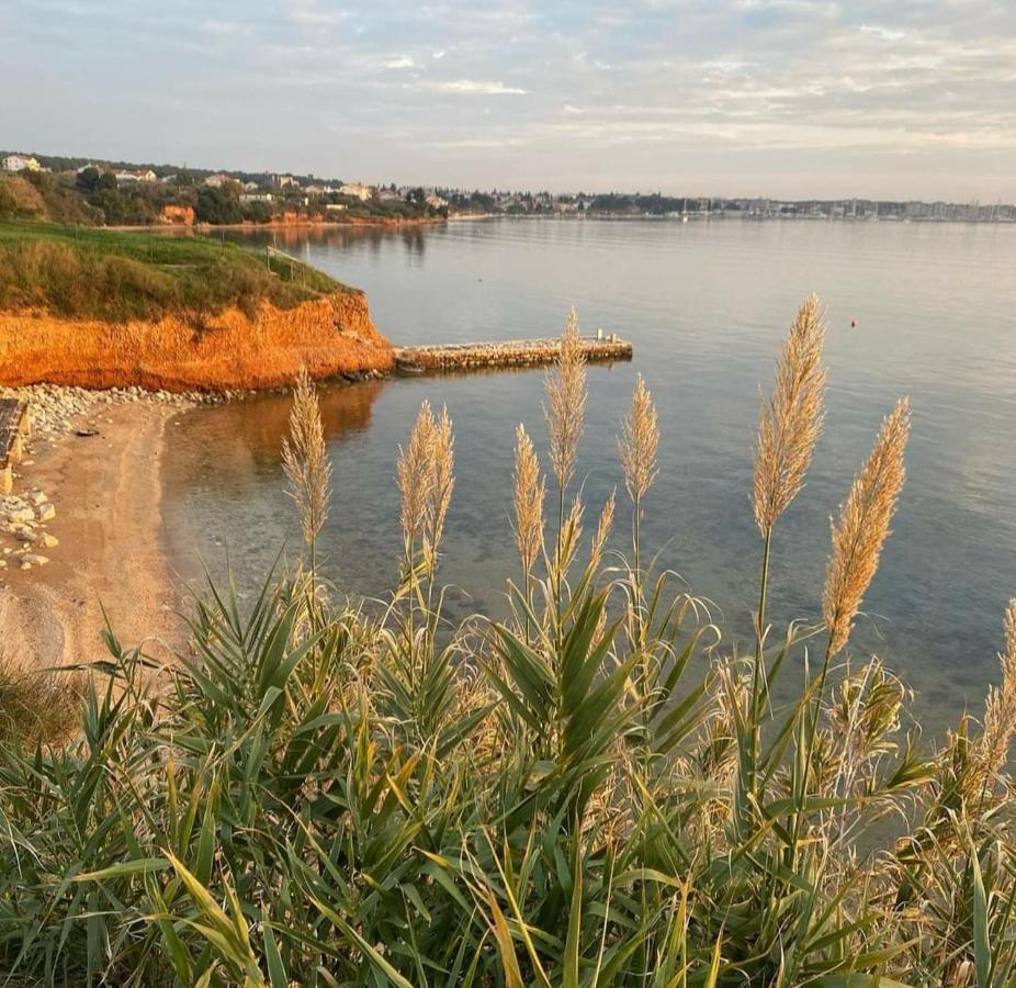 Mobile Homes Kamp Maslina, Biograd na Moru Kültér fotó