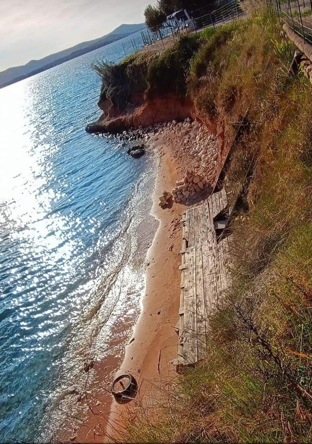 Mobile Homes Kamp Maslina, Biograd na Moru Kültér fotó