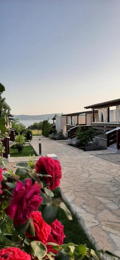 Mobile Homes Kamp Maslina, Biograd na Moru Kültér fotó