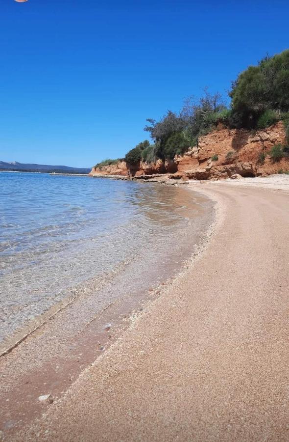 Mobile Homes Kamp Maslina, Biograd na Moru Kültér fotó