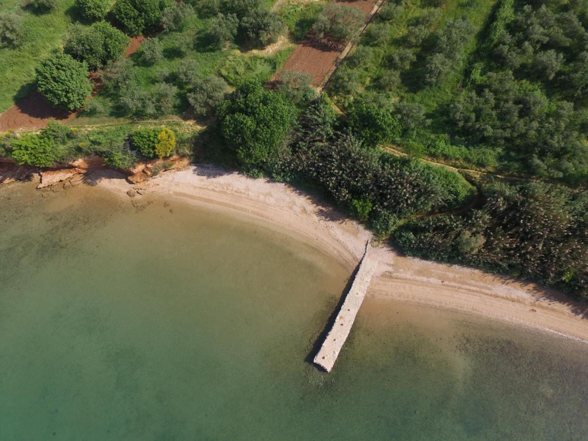 Mobile Homes Kamp Maslina, Biograd na Moru Kültér fotó